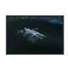 Drown, Ophelia Framed poster